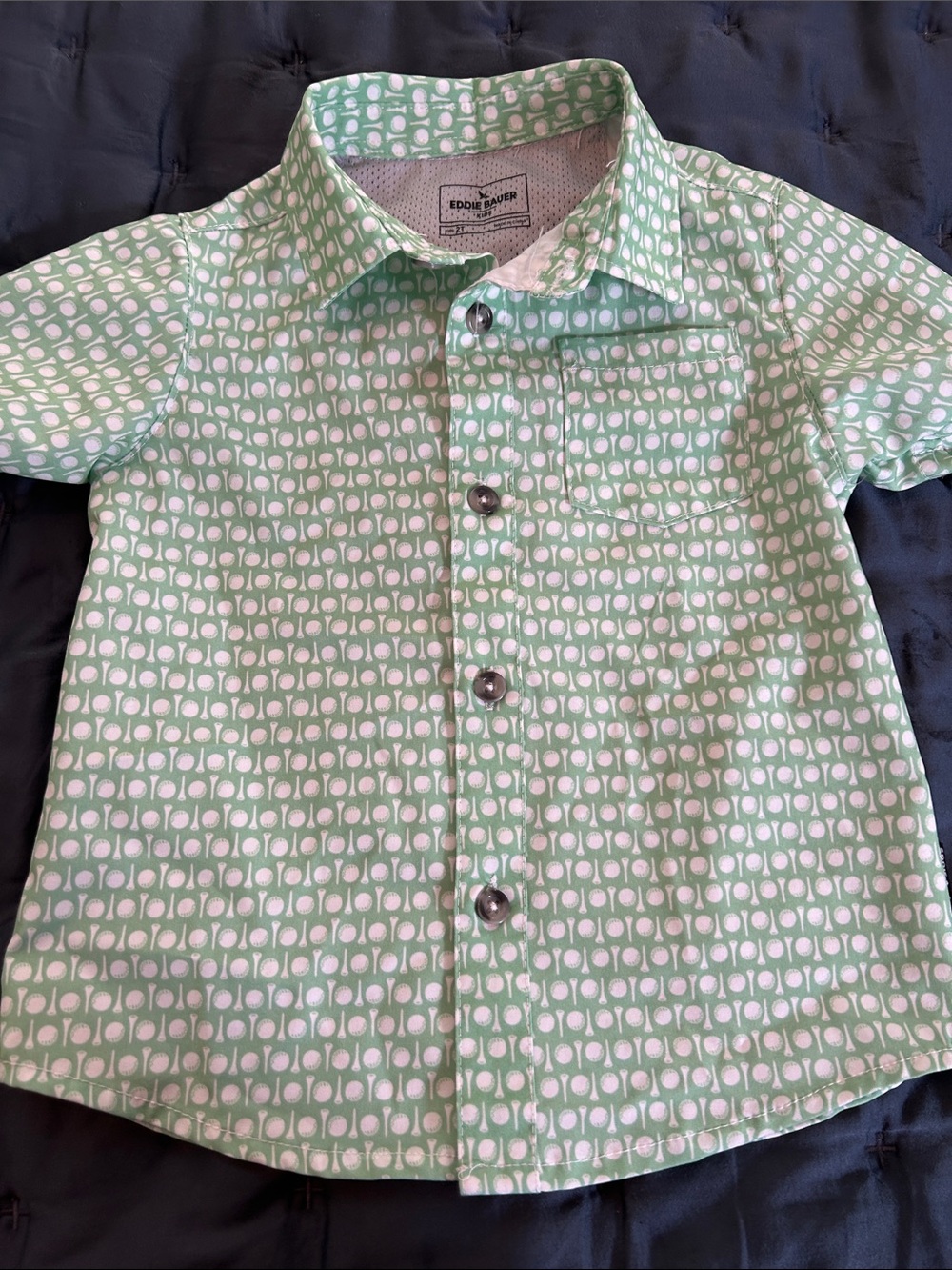 Eddie Bauer Light Green & White Printed Short-Sleeve Button-Down Shirt